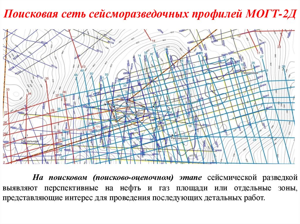 Поисковая сеть сейсморазведочных профилей МОГТ-2Д