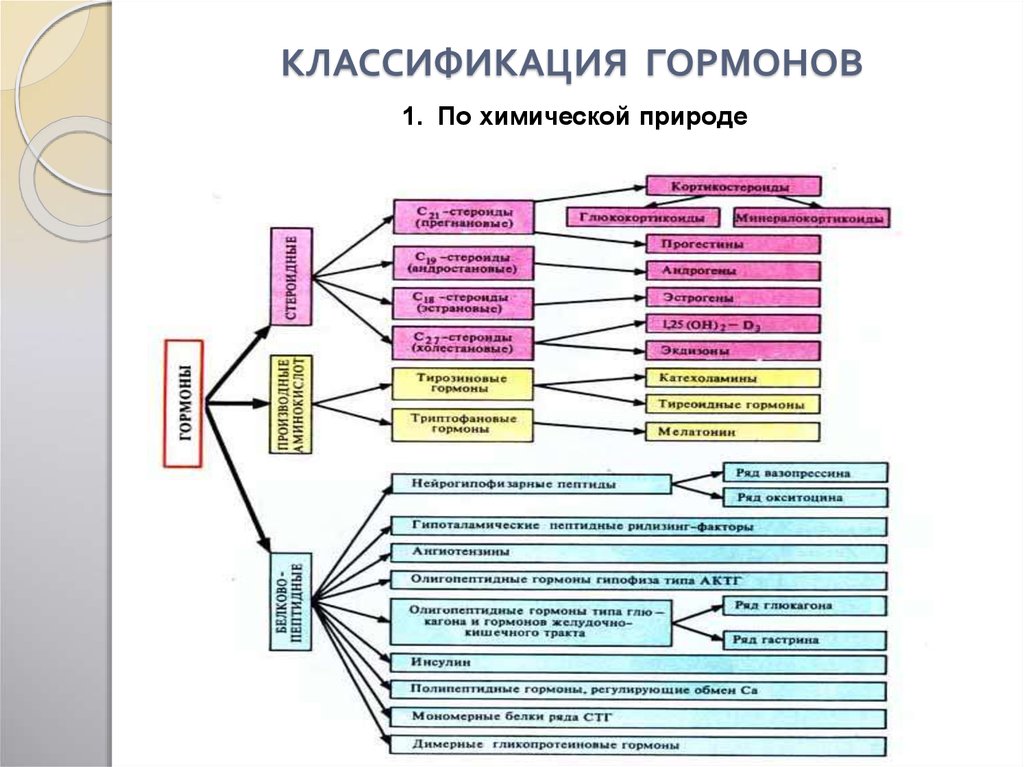 Химическая природа гормонов схема