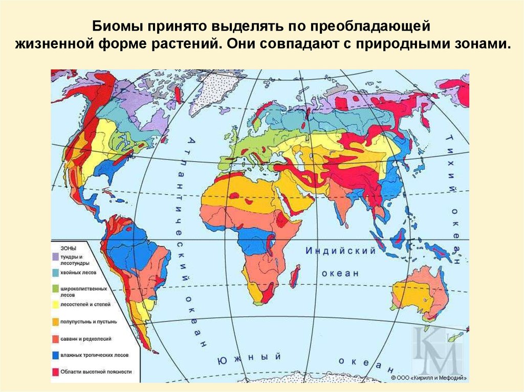 Карта биомов россии