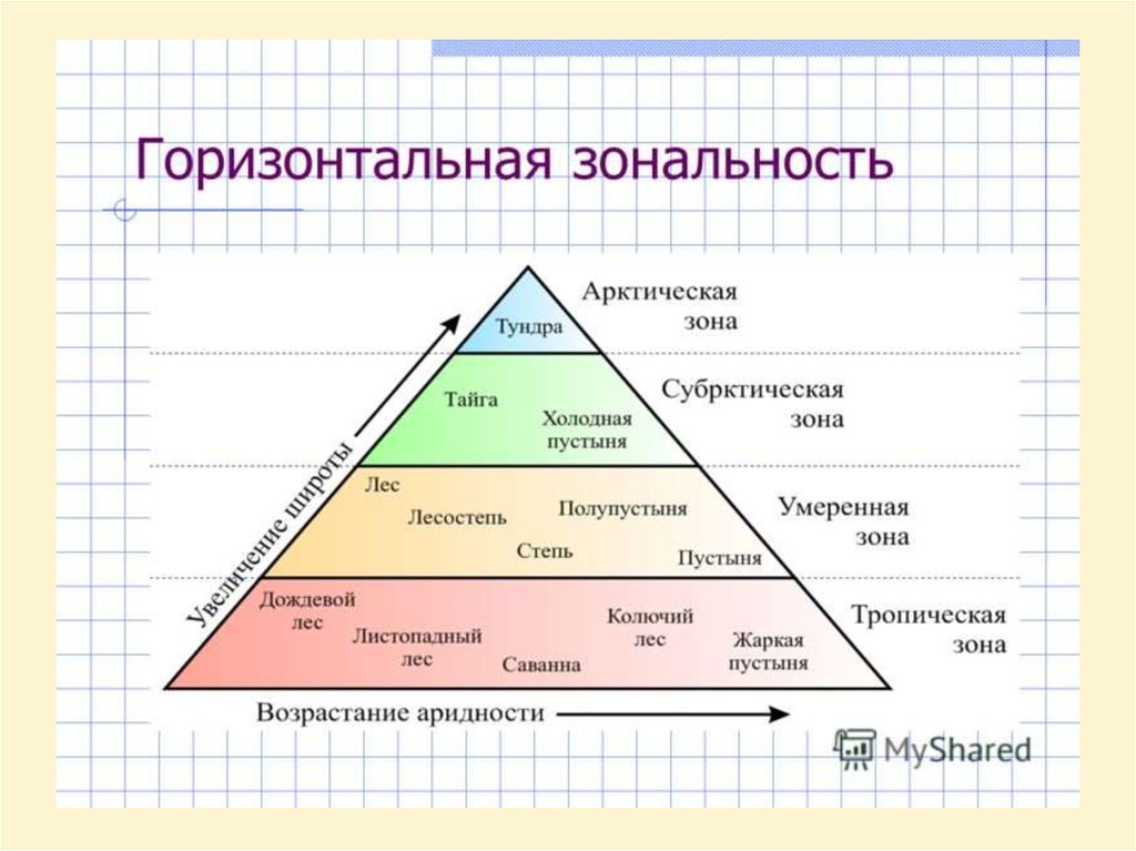 Классификация экосистем схема