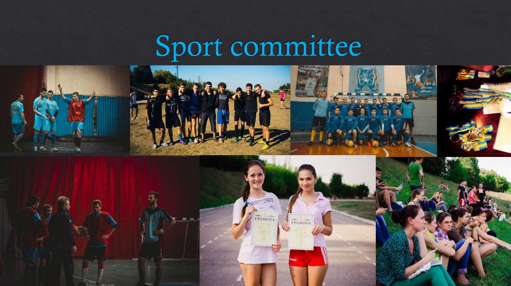 Sport committee
