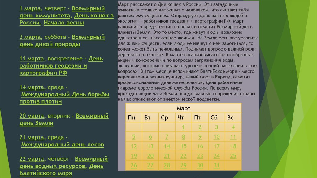 Отчет день дикой природы. Всемирный день пароля.