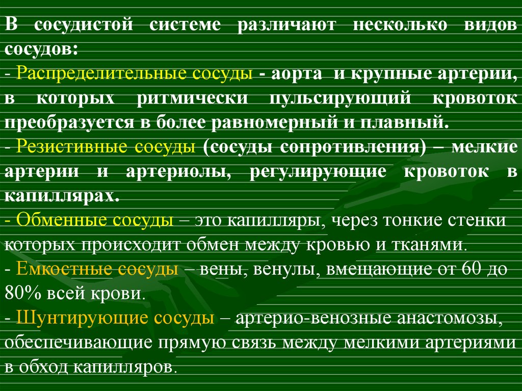 Движение крови по сосудам регуляция кровоснабжения 8 класс презентация