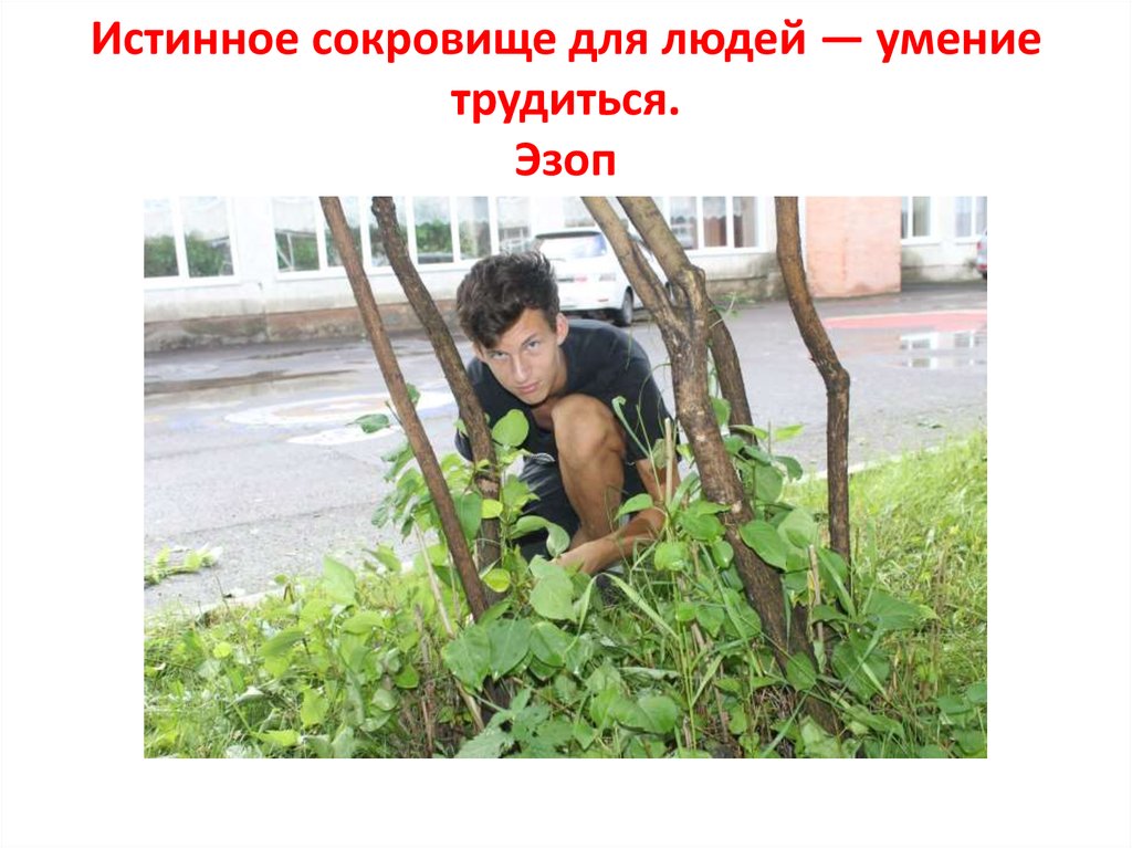 Истинное сокровище для людей — умение трудиться. Эзоп