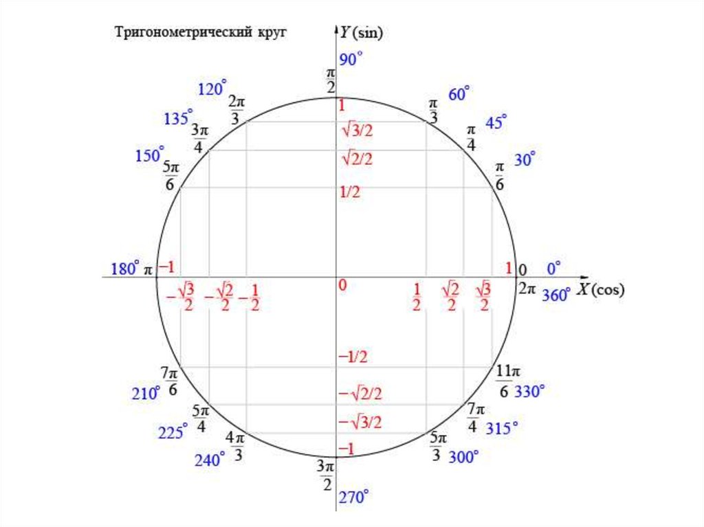 Презентация по теме тригонометрия