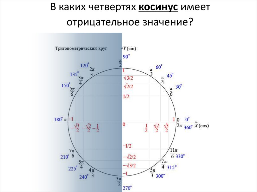 Косинус 7 4. 1. Тригонометрический круг (в трех вариантах).. Единичная окружность со значениями синусов и косинусов. Тригонометрический круг -2п. Тригонометрический круг косинус.