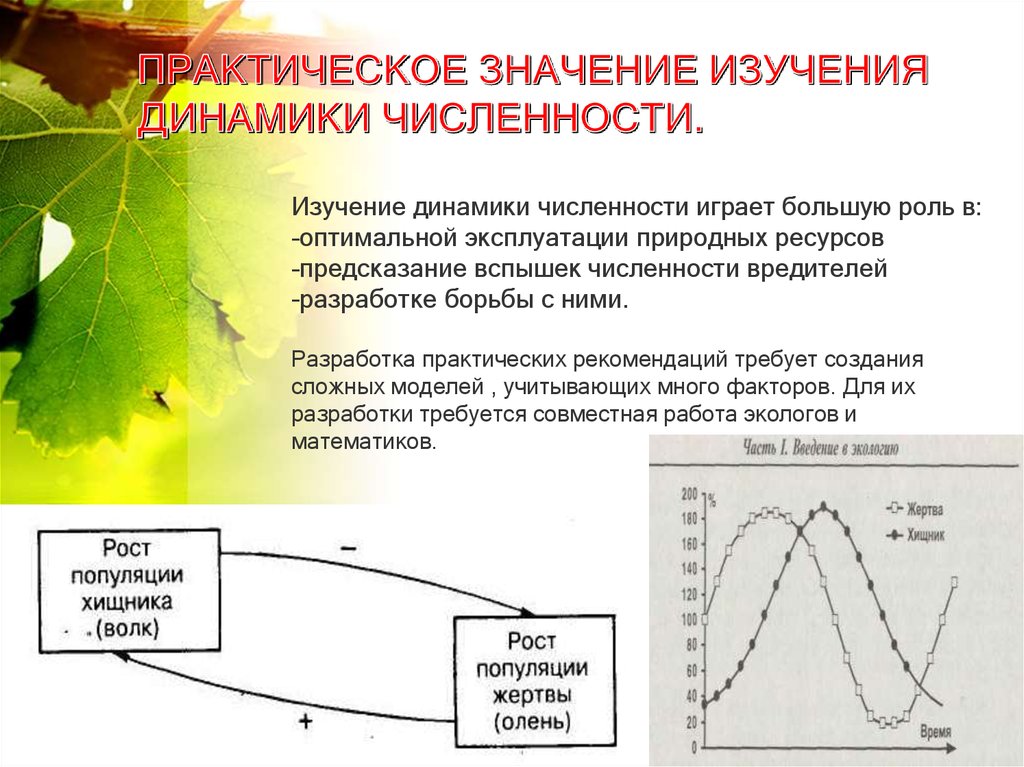 Какое практическое значение. Значение изучения динамики численности популяций. Практическое значение изучения популяций. Основные причины динамики численности популяций. Значение изучения популяций и видов.