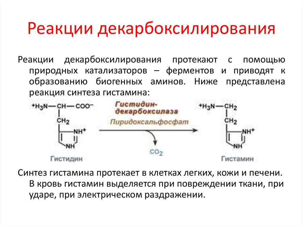 Декарбоксилирование аминокислот презентация