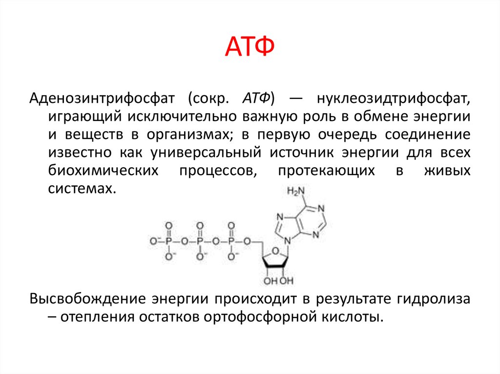 Получение атф. Строение АТФ химия. Строение молекулы АТФ. АТФ хим структура.