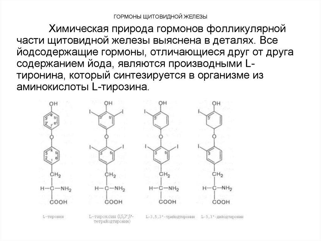 Гормоны щитовидной железы презентация по биохимии