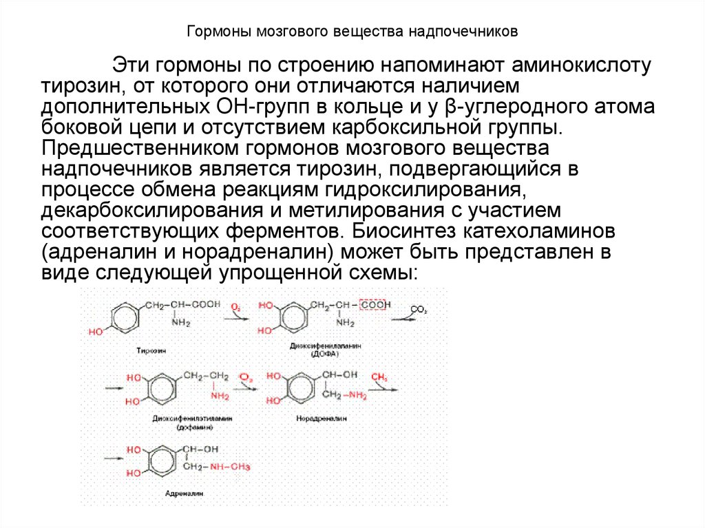 Надпочечники механизм действия. Гормоны мозгового вещества надпочечников.