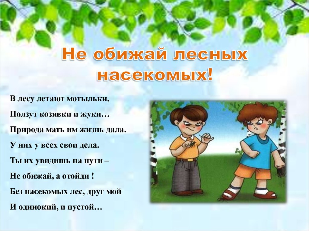 Не обижай ее. Не обижайте лесных насекомых. Не обижай насекомых. Нельзя обижать насекомых. Нельзя обижать природу.