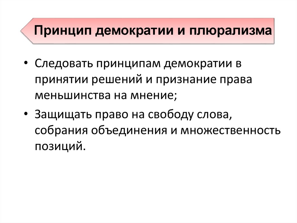 Принцип демократизма. Принцип деятельности любви. Моральные принципы трусы.