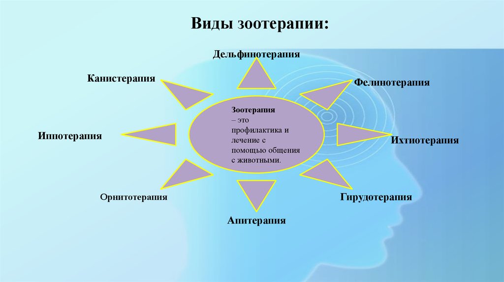 Чудодейственность зоотерапии проект