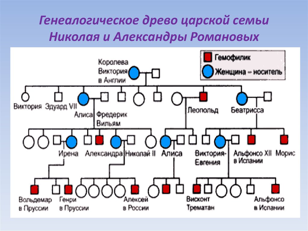 Родовое дерево романовых схема