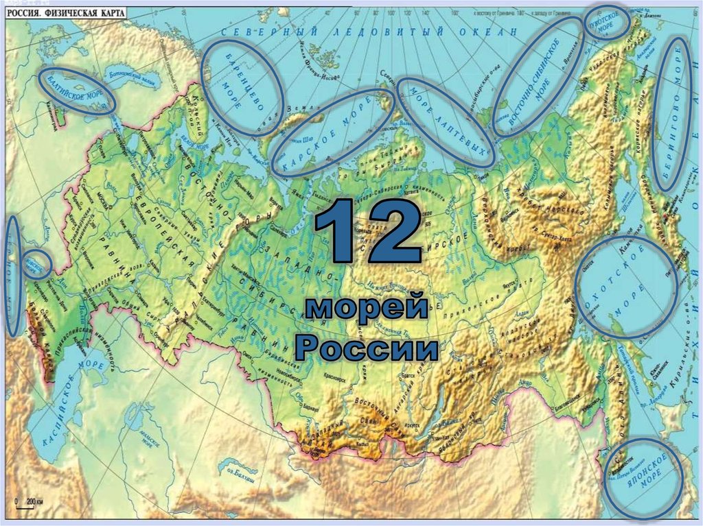 Озеро россии атлас. Моря России на карте. Физическая карта России моря. Карта России с морями и Океанами. Моря России на карте России.