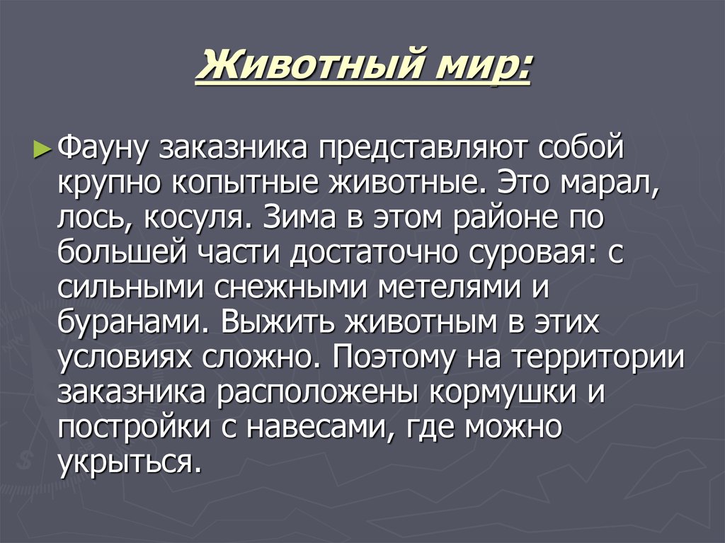 Животный мир: