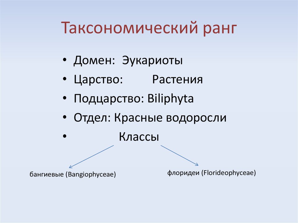 Последовательность таксономических названий