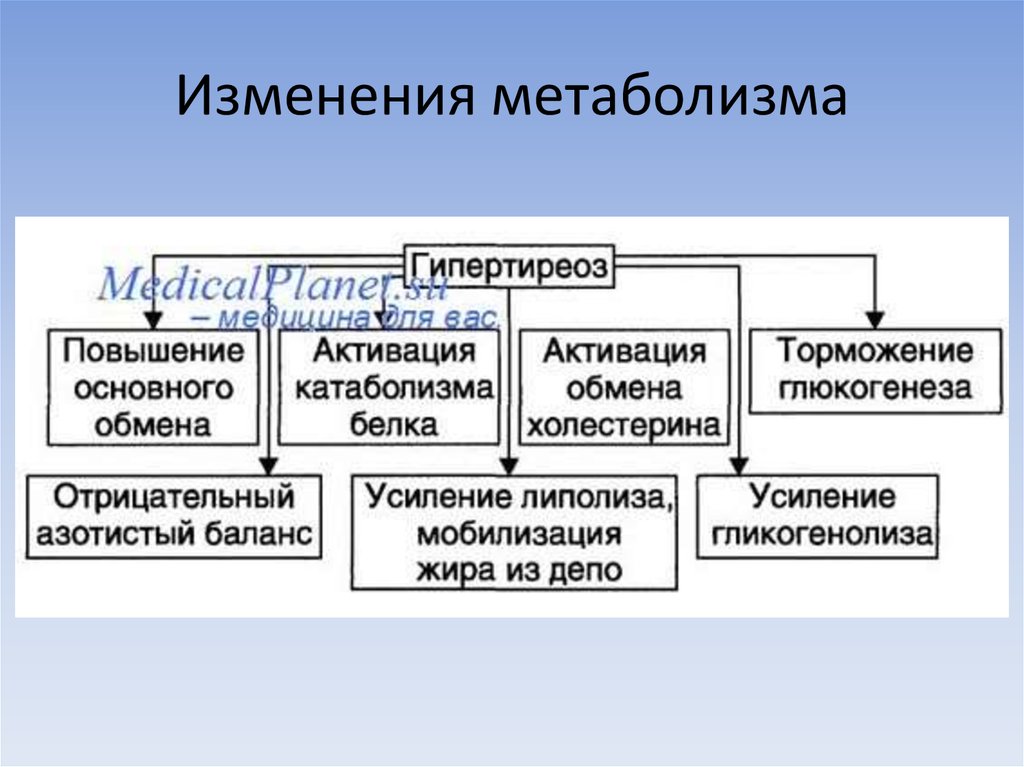 Изменения веществ. Изменение обмена веществ при гипертиреозе. Основной обмен при гипертиреозе. Нарушение обмена веществ при тиреотоксикозе. Основной обмен при тиреотоксикозе.