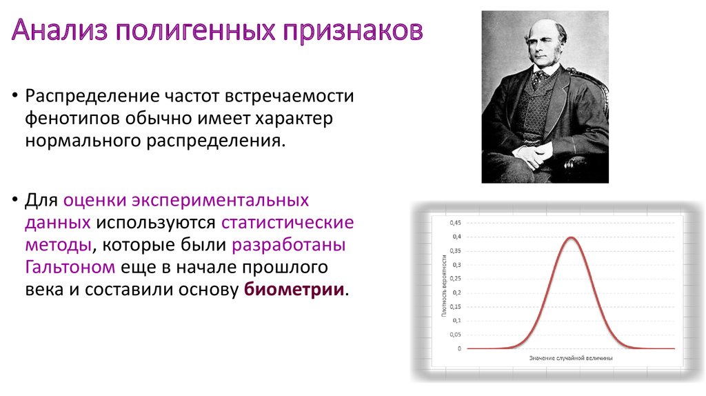 В популяции известны частоты аллелей