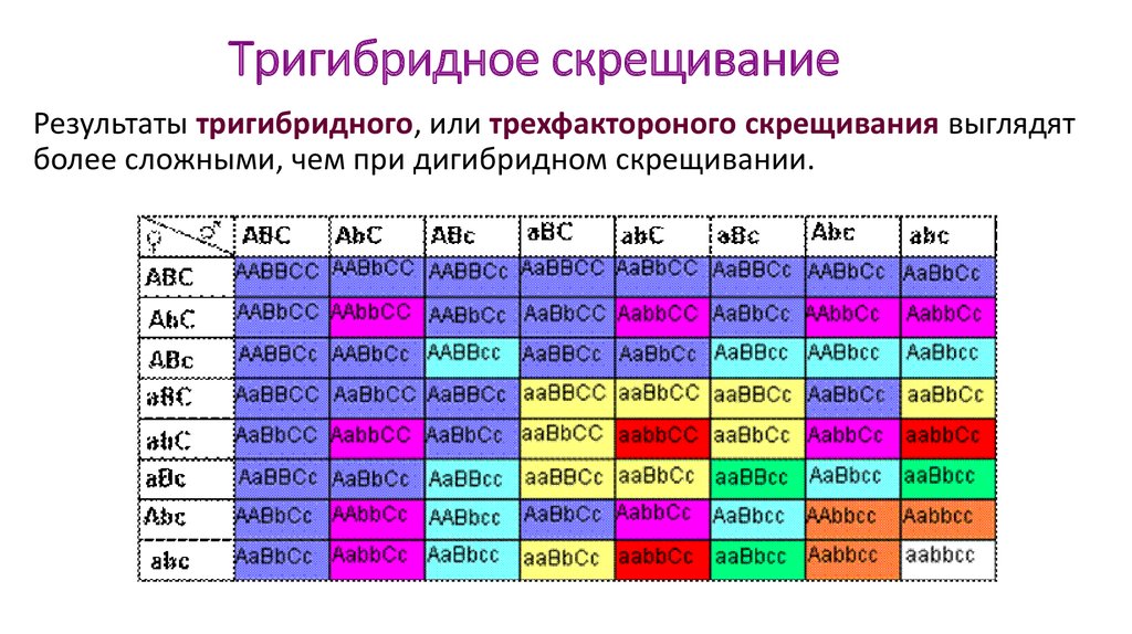 Полигибридное скрещивание презентация