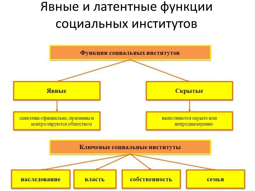 Основной функцией институтов является