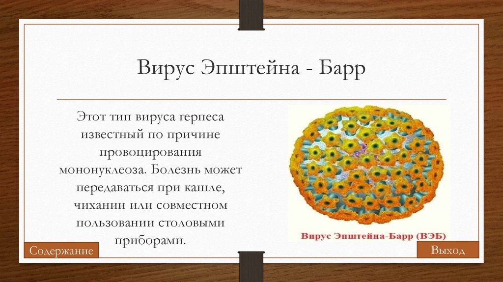 Эпштейн барра вирус что это такое. Эпштейн-Барр вирусная инфекция симптомы.