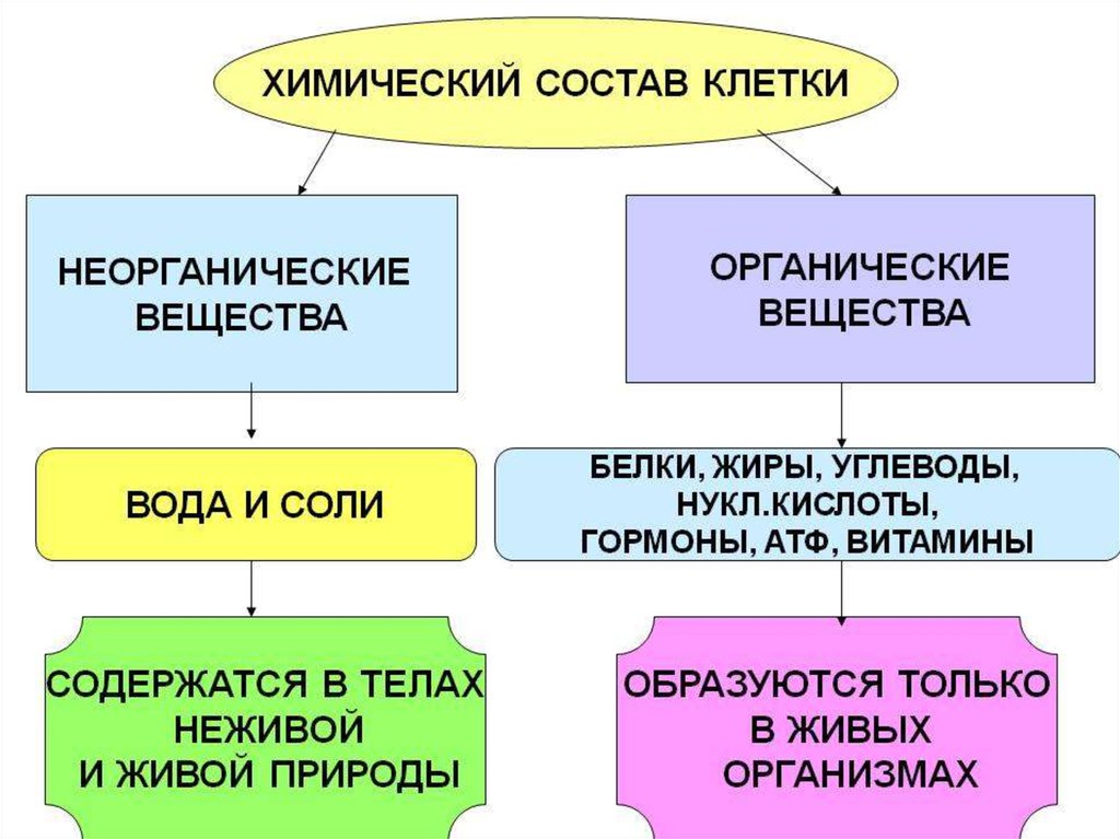 Презентация химическая организация природы 9 класс