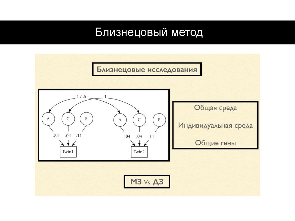 Близнецовый метод картинки