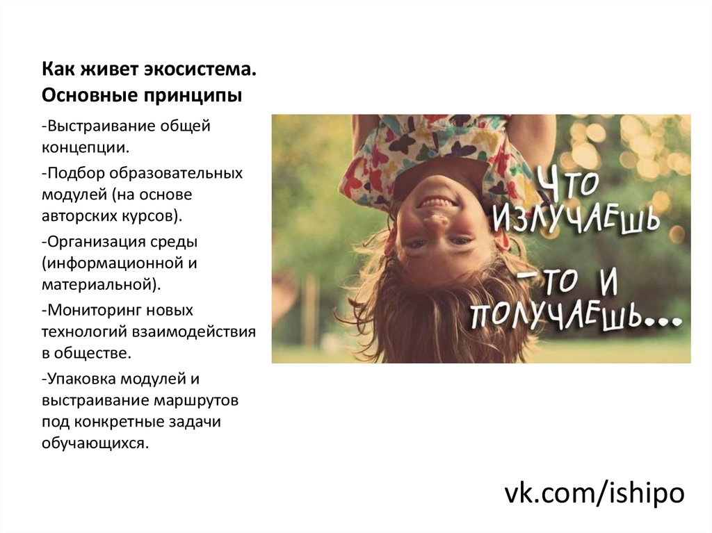 Как живет экосистема. Основные принципы