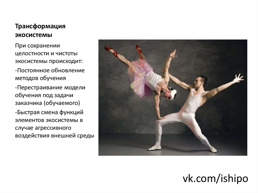 Трансформация является. Трансформации экологических систем. Трансформация естественных экологических систем. Трансформация агроэкосистем. Как происходит трансформация естественных экологических систем.