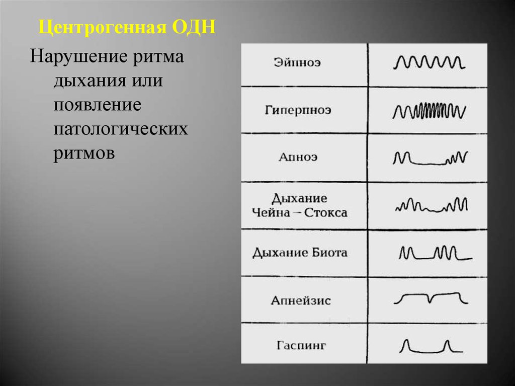 Ритм дыхания. Нарушение частоты и ритма дыхания. Нарушения ритма и глубины дыхания. Патологические ритмы дыхания.