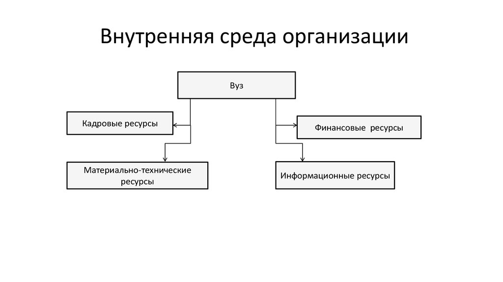 Внутренняя среда организации. Элементы внутренней среды предприятия. Внутренняя среда организации ресурсы организации. Ресурсы университета. Ресурсы внутренней среды организации.