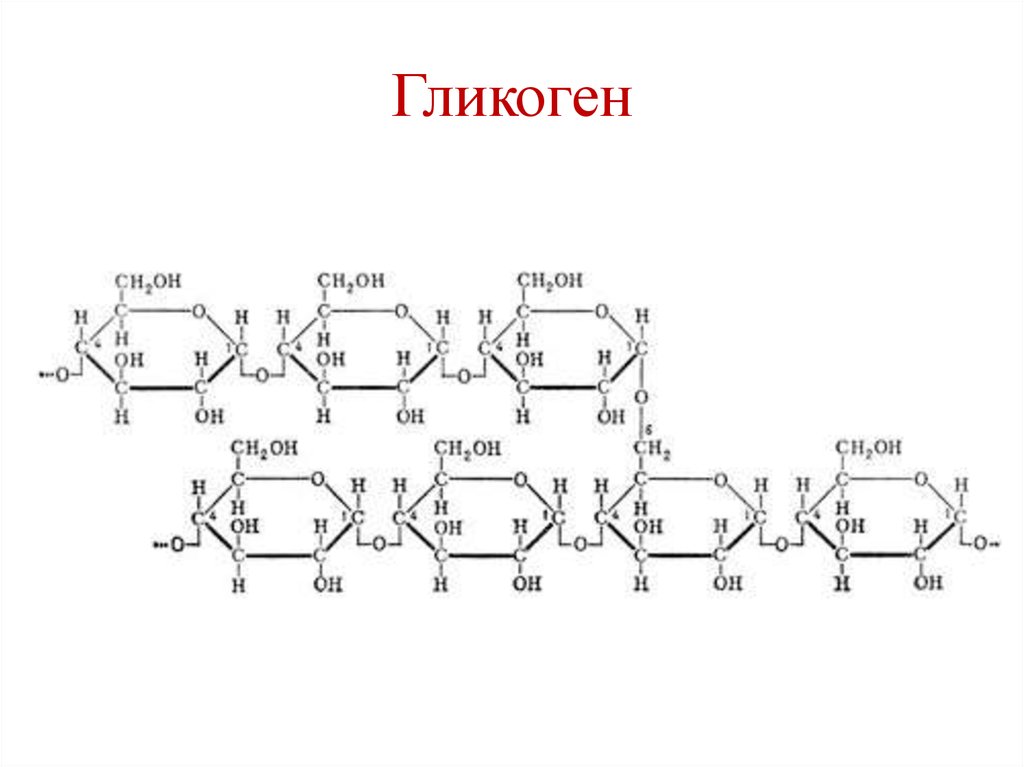 Глюкоген. Гликоген формула и структура. Гликоген строение молекулы. Строение гликогена формула. Гликоген структурная формула.
