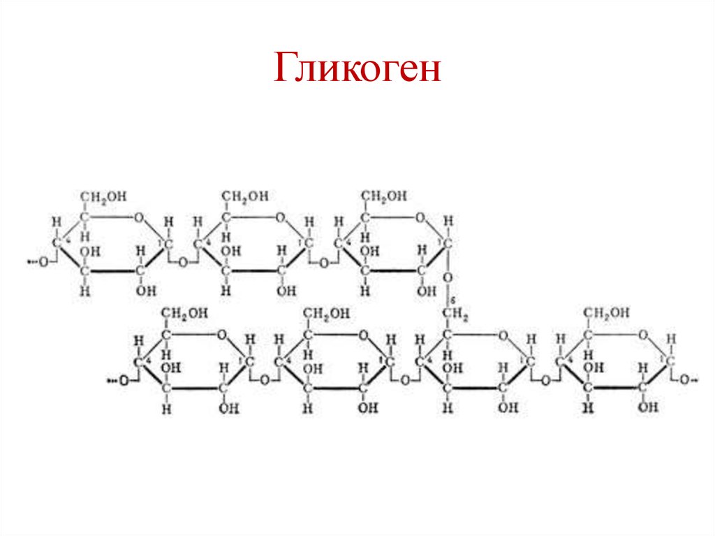 Гликоген. Формула структурного звена гликогена. Гликоген строение. Гликоген структурная формула. Гликоген строение молекулы.