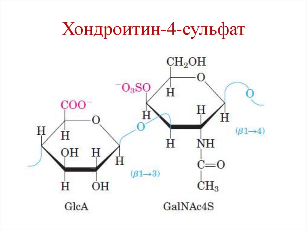 Строение фрагмента. Хондроитин 4 сульфат формула структурная. Хондроитин сульфат формула. Хондроитин сульфат 4 и 6. Хондроитин 4 сульфат строение.