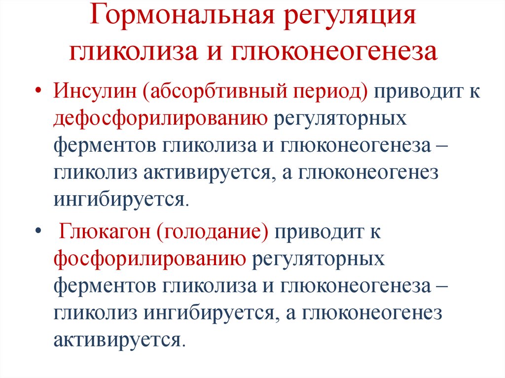 В абсорбтивный период активно протекает