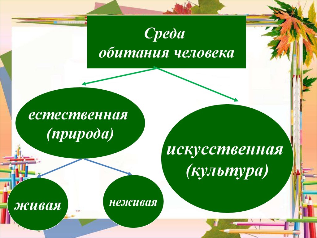 Культура искусственная. Среда обитания человека схема 5 класс.