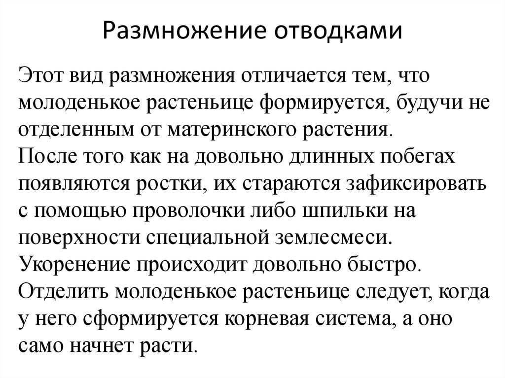 Чем отличается размножение