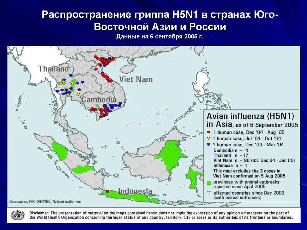 Распространенный грипп. Распространение гриппа. Пути распространения гриппа. Вирус h5n1 гриппа распространение. Птичий грипп в Юго-Восточной Азии.