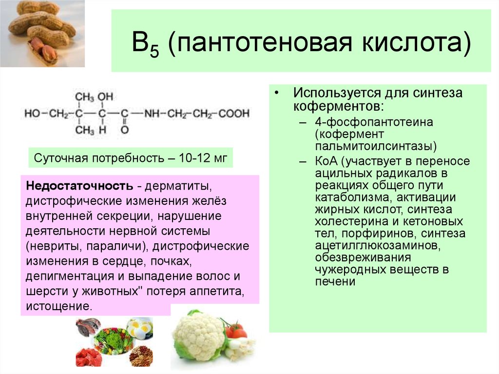 Побочные эффекты б6. Витамин b5 пантотеновая кислота. Витамин b3 формула пантотеновая кислота. Витамин в5 пантотеновая кислота формула. Витамин в5 пантотеновая кислота функции.
