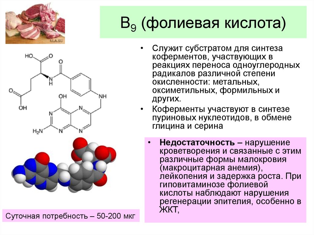 Витамин б9 презентация