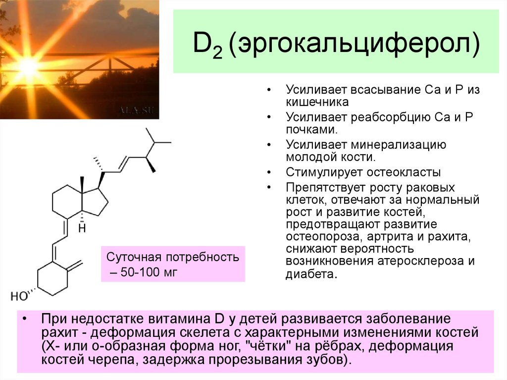 Эргокальциферол инструкция. Эргокальциферол д2. Витамин д2 эргокальциферол. Витамин д эргокальциферол. Эргокальциферол суточная потребность.