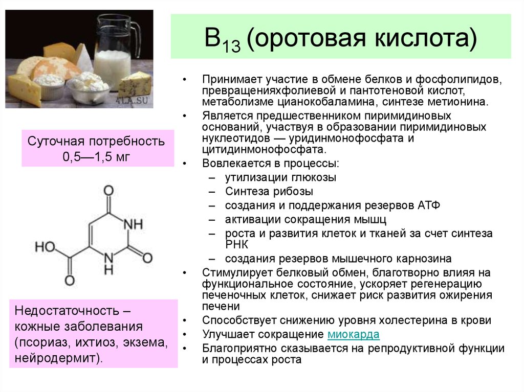 Препарат биохимия. Витамин b13 оротовая кислота. Витамин в13 оротовая кислота препарат. Витамин в13, оротовая кислота формула. Оротовая кислота Синтез в организме.