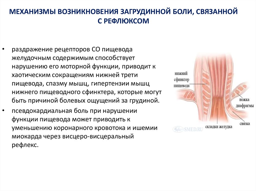 Оптимальной схемой лечения гэрб с внепищеводными проявлениями является тест