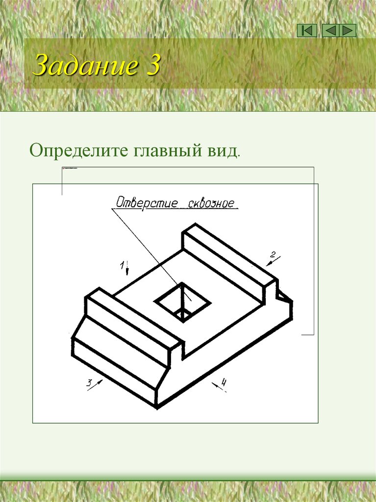 Главный вид. Внутреннее проецирование. Прямоугольное проецирование трапеции. Проецирование дерева.