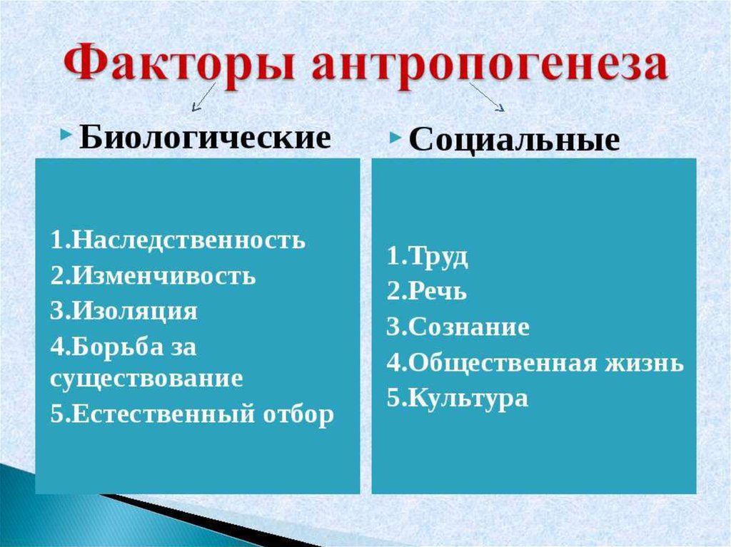 Презентация антропогенез қазақша