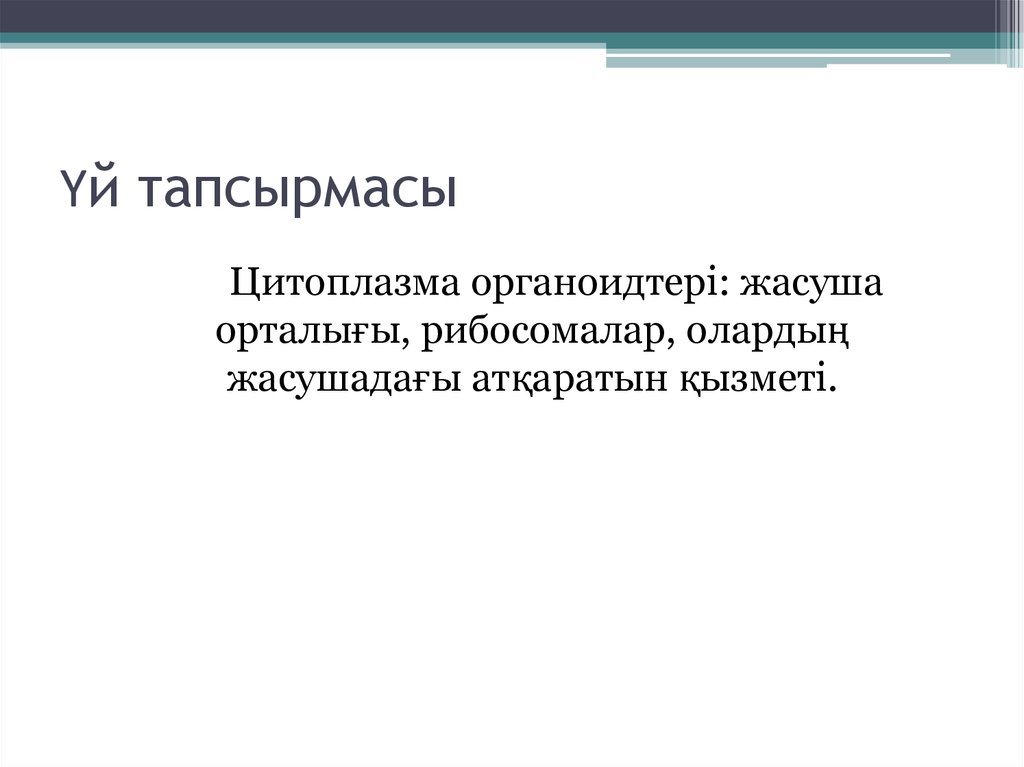 Үй тапсырмасы