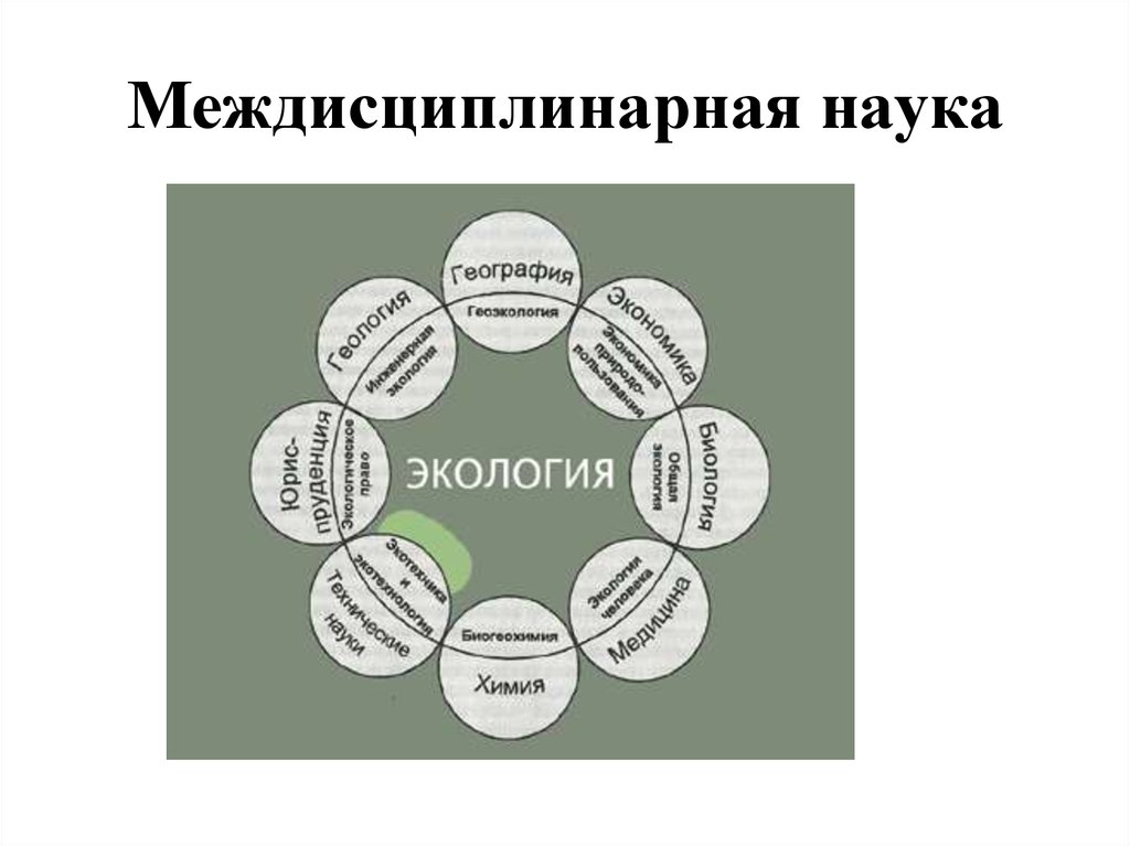 Междисциплинарное научное направление