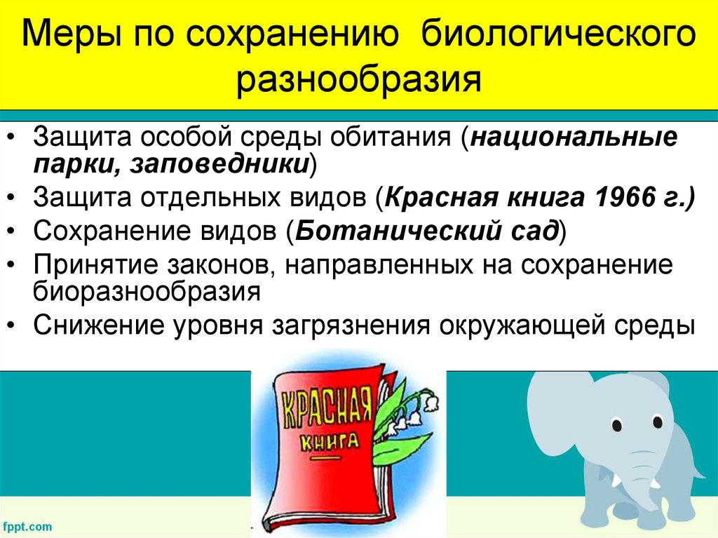 Сохранение видов. Способы сохранения видового разнообразия. Способы сохранения биоразнообразия. Спути сохранения биоразнообразия